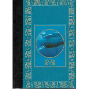 Nos amies les - baleines, /