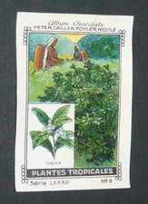 CHROMO PETER CAILLER KOHLER