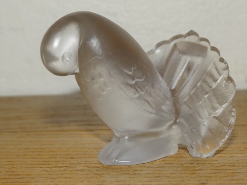 Joli pigeon art - pigeon,