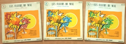 Vinyles les fleurs - 3,