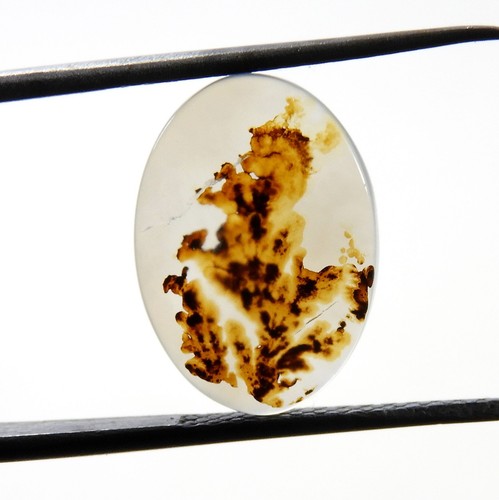 Cabochon agate dendrite shazar - agate,
