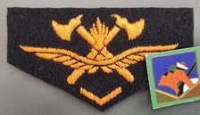 WW2 Mle 1934 Pompiers Insigne