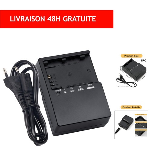 Chargeur rapide e6 - chargeur,