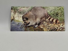 Nestlé MERVEILLES DU MONDE Carte N°283 "le petit raton laveur"