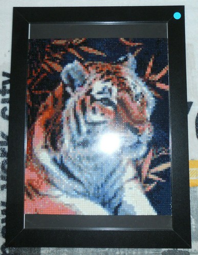 Tableau tigre sous cadre - 5d,