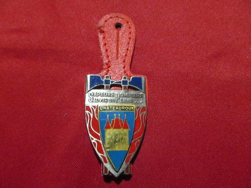 Insigne pucelle sapeurs - insigne,