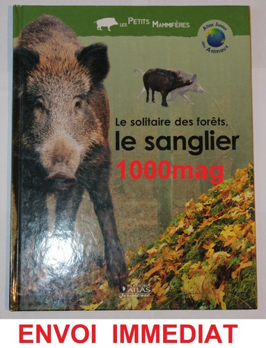 Livre collection atlas - atlas, junior