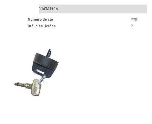 Cle contact haulotte - cle,