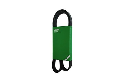 Lucas 3pk0800l courroie - lucas,