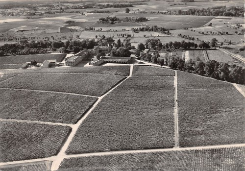 Pauillac chateau lafite - 33-pauillac-chateau,