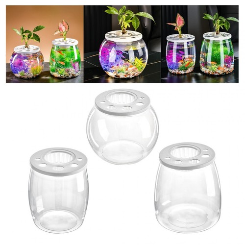 Tank bowl décoratif bureau - ,