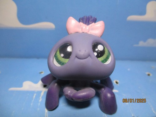 Petshop araignee 329 avec - petshop,