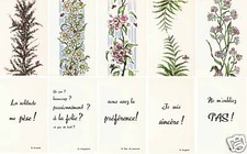 5 CARTES DOUBLES LANGAGE DES