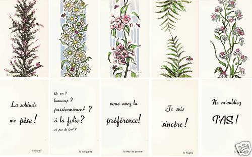 Cartes doubles langage des - 5,