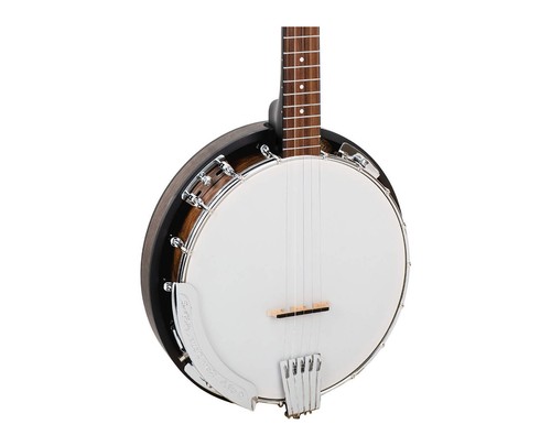 Gold tone 50rp beginners - tone, cc-50rp
