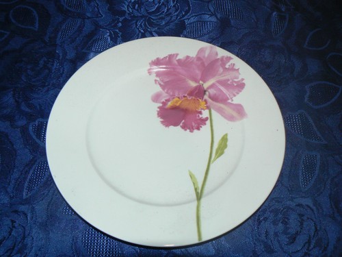 Superbe plat decor - superbe,