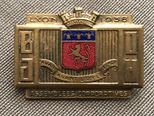 Politique : rare insigne des