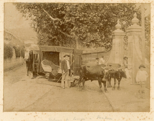 Portugal madère voiture - madère,, de