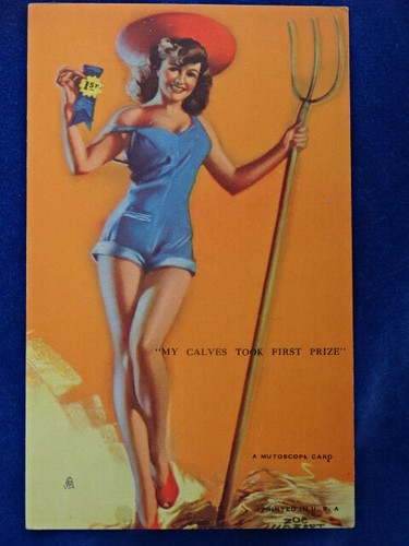 Top carte postale postcard - top, !