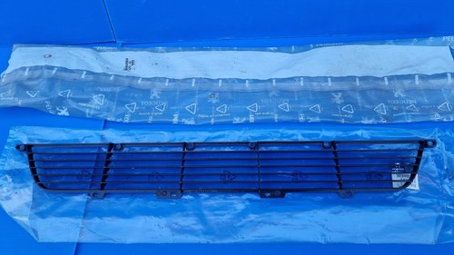 Grille pare choc avant pour - de,