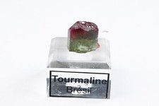 Cristal de Tourmaline melon d'eau bicolore Naturel Pierre Précieuse Brute 5g