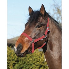 Eldorado Licol Standard -