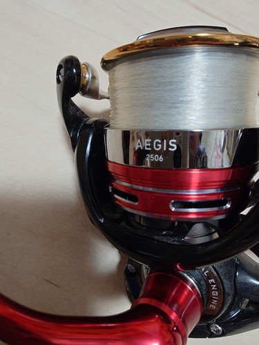 Moulinet spinning daiwa - spinning,