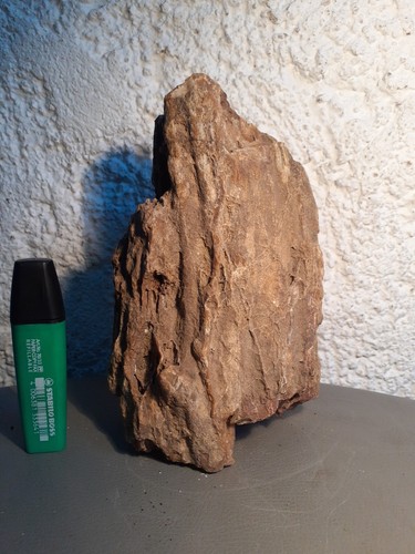 Bois silicifié - bois,