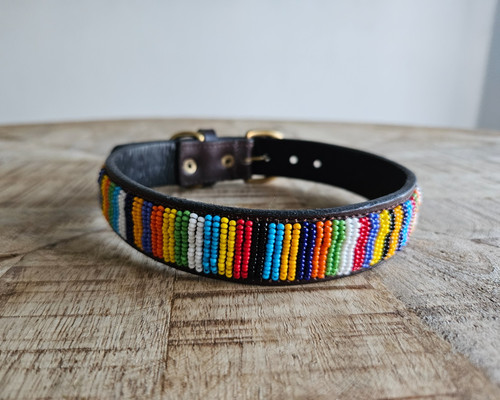 Collier pour chien cuir - pour,