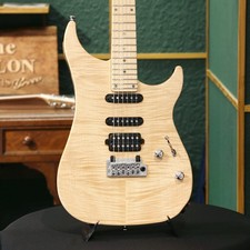 Electric Guitar Vigier