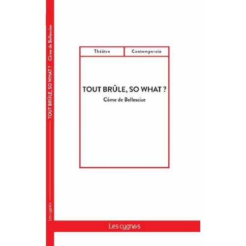 Tout brûle so what - ▄▀▄,