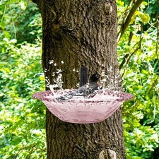 Mangeoire pour colibri design