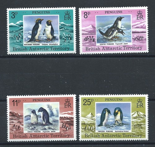Antarctique britannique - antarctique,