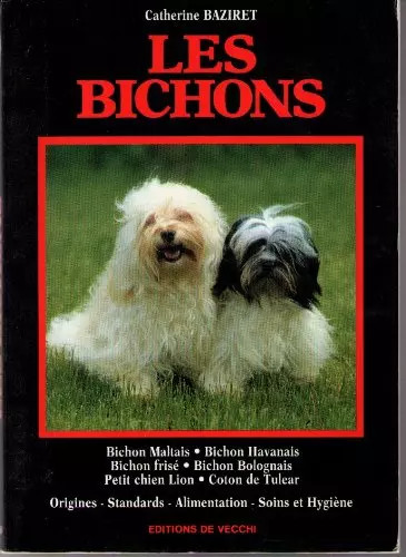 Les bichons bichon maltais - bichon,