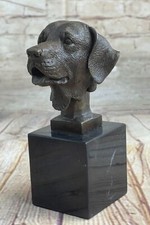 Labrador retriever chien - retriever,