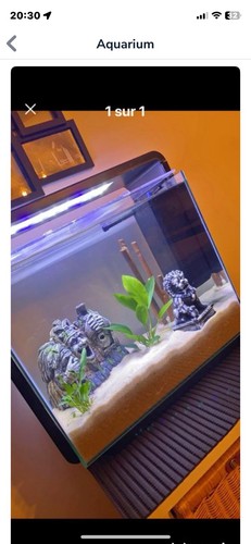 Aquarium complet très - aquarium, l.