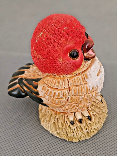 Original oisillon tête - à,
