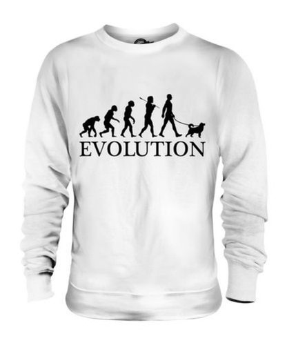Shiba inu évolution homme - inu, de