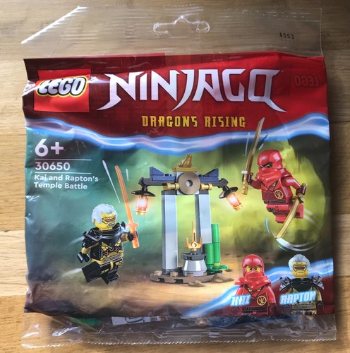 Polybag figurine minifigure - figurine,