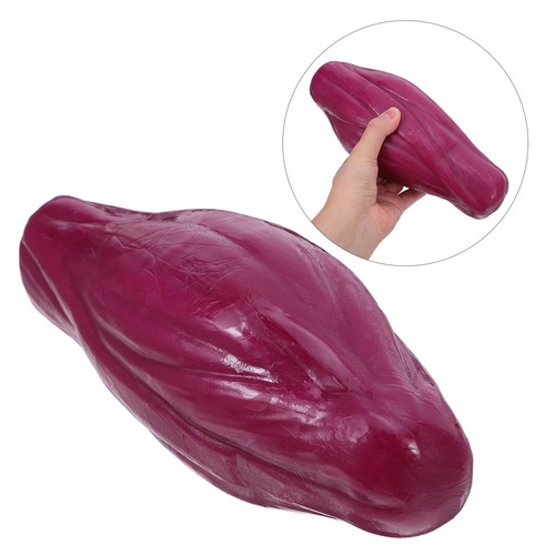 Corps humain silicone - humain, en