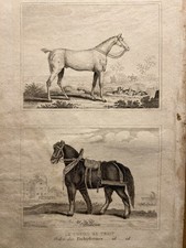 ILLUSTRATION ANCIENNE 1835