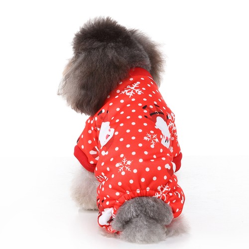 Vêtements pour chiots - pour,