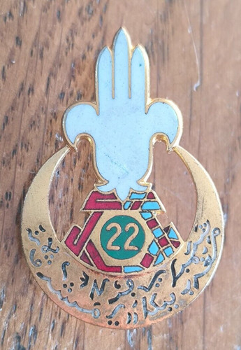 Insigne régiment - insigne, 22°