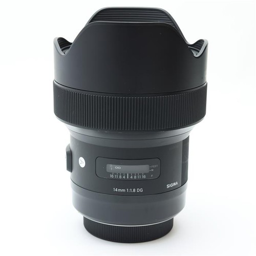 Sigma 14mm dg hsm - hsm, art