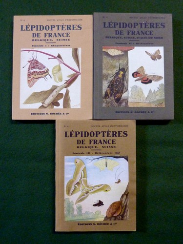 Entomologie lépidoptères - entomologie,