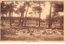 17 .n°108295 . ile d oleron 