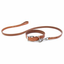 Ensemble collier pour chien