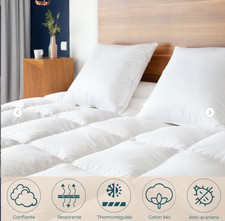 Couette Castex Hiver 240x220 90% Duvet de canard 10% plumettes 