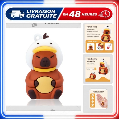 Clé usb design - design, capybara