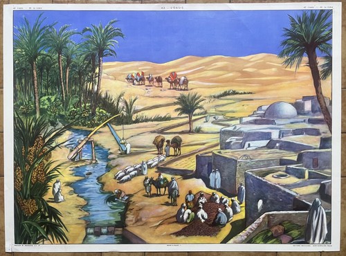 Ancienne affiche scolaire - 🌵,